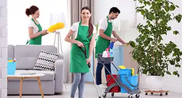 Office Cleaning